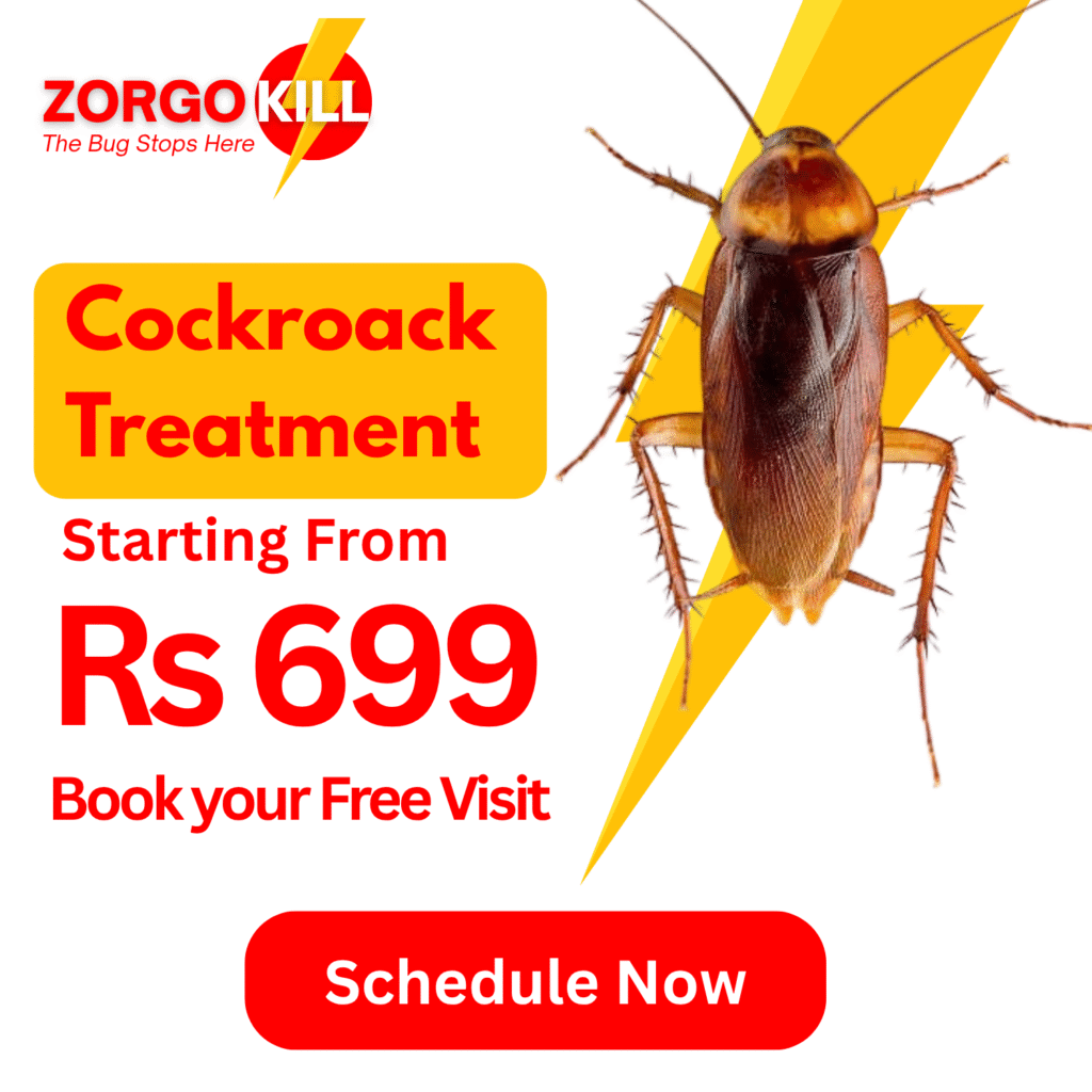 Affordable cockroach treatment near me starting at ₹699 by ZorgoKill. Trusted roach exterminator in Mumbai, Thane & Navi Mumbai. Book your free visit today.
